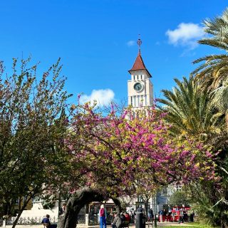 Springtime in Lisbon🤍