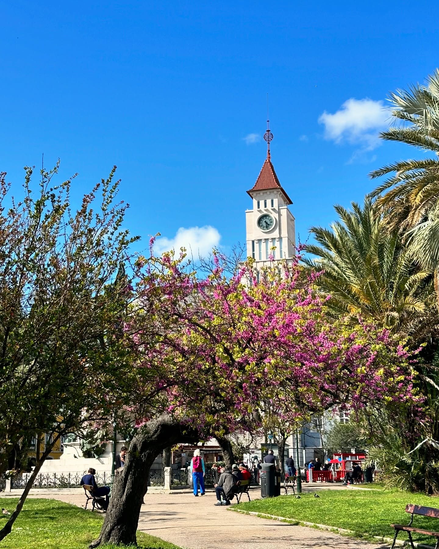 Springtime in Lisbon🤍